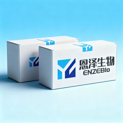 SD大鼠肺微血管内皮细胞永生化--大鼠肺微血管内皮细胞永生化